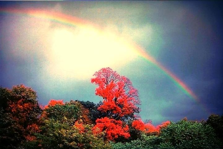 Rainbow of Love and Peace